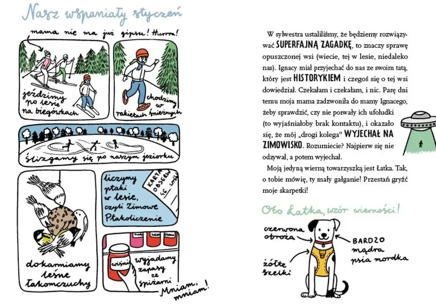 5-8 Lat|9 Lat + | Wydawnictwo Świetlik Zagadka opuszczonej wsi. Gaja z Gajówki.