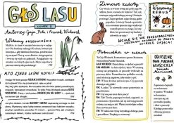 5-8 Lat|9 Lat + | Wydawnictwo Świetlik Zagadka opuszczonej wsi. Gaja z Gajówki.
