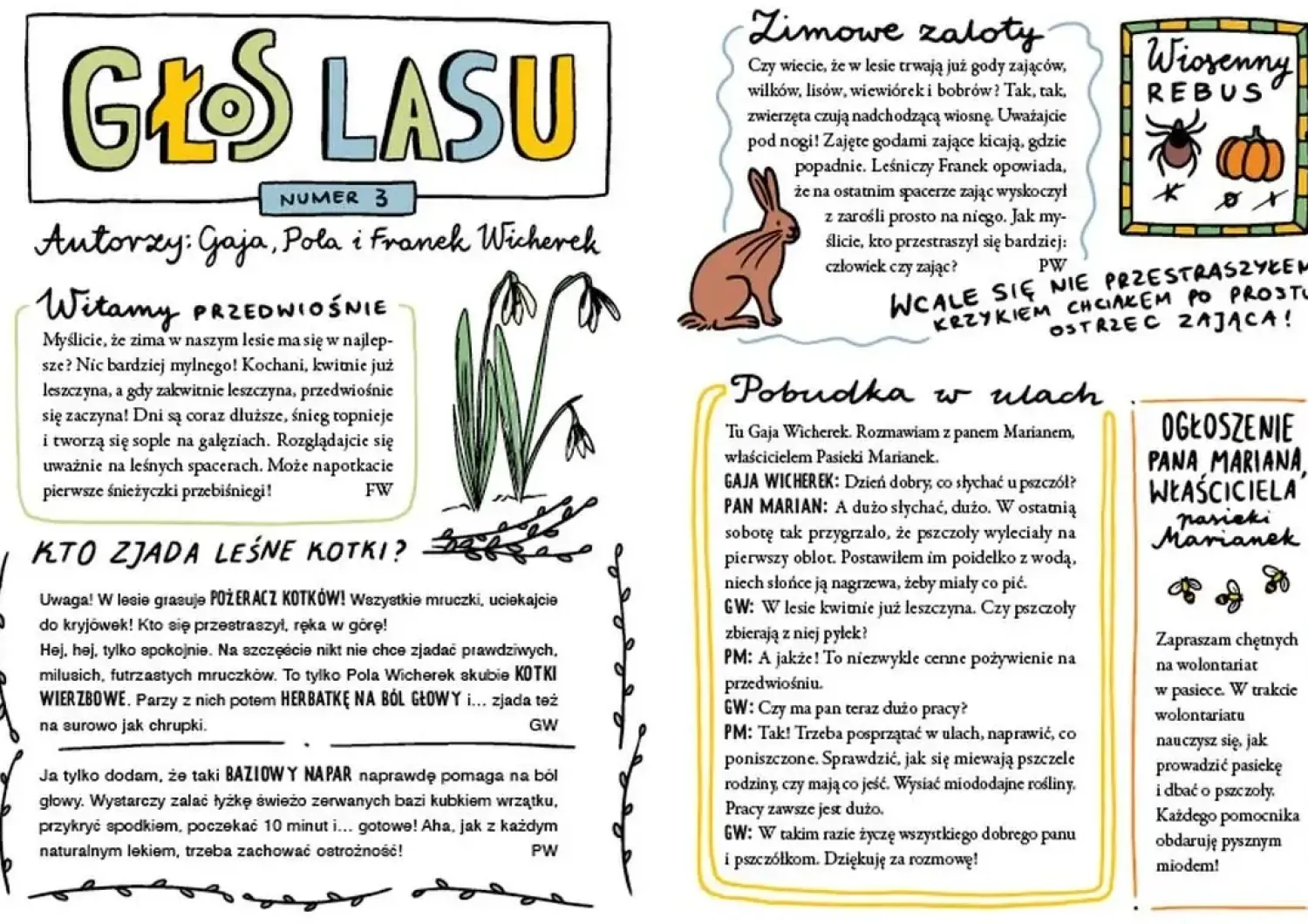 5-8 Lat|9 Lat + | Wydawnictwo Świetlik Zagadka opuszczonej wsi. Gaja z Gajówki.