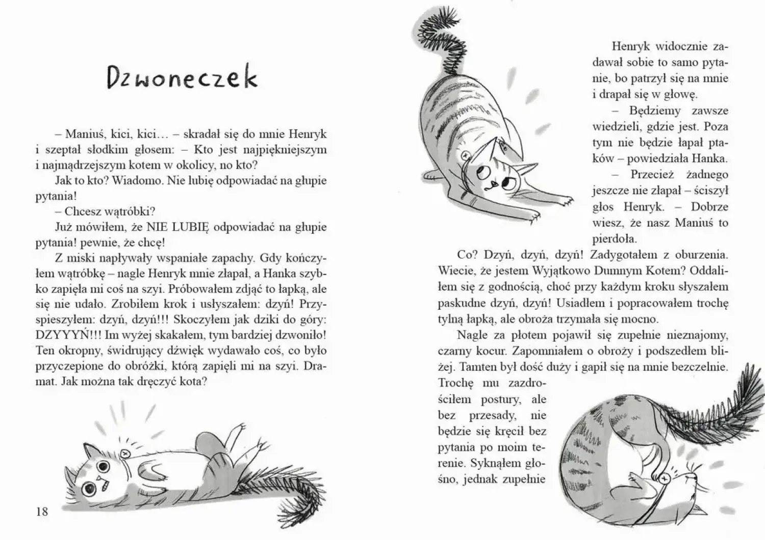 9 Lat +|5-8 Lat | Wydawnictwo Literatura Zapiski wrednego kota
