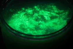 6 Lat+|7 Lat+ | Tuban Zestaw DIY Slime - świecący w ciemności