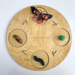 8 Lat+|Edukacyjne | Insect Lore Zestaw figurek Cykl Życia Motyla