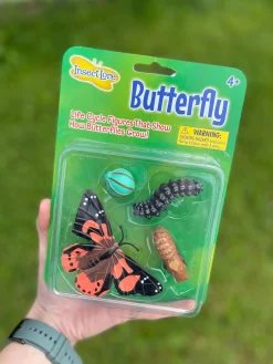 8 Lat+|Edukacyjne | Insect Lore Zestaw figurek Cykl Życia Motyla