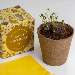 Na Podwórko | Resetea Zestaw prezentowy do sadzenia kwiatów Say it with Flowers - Happy Birthday