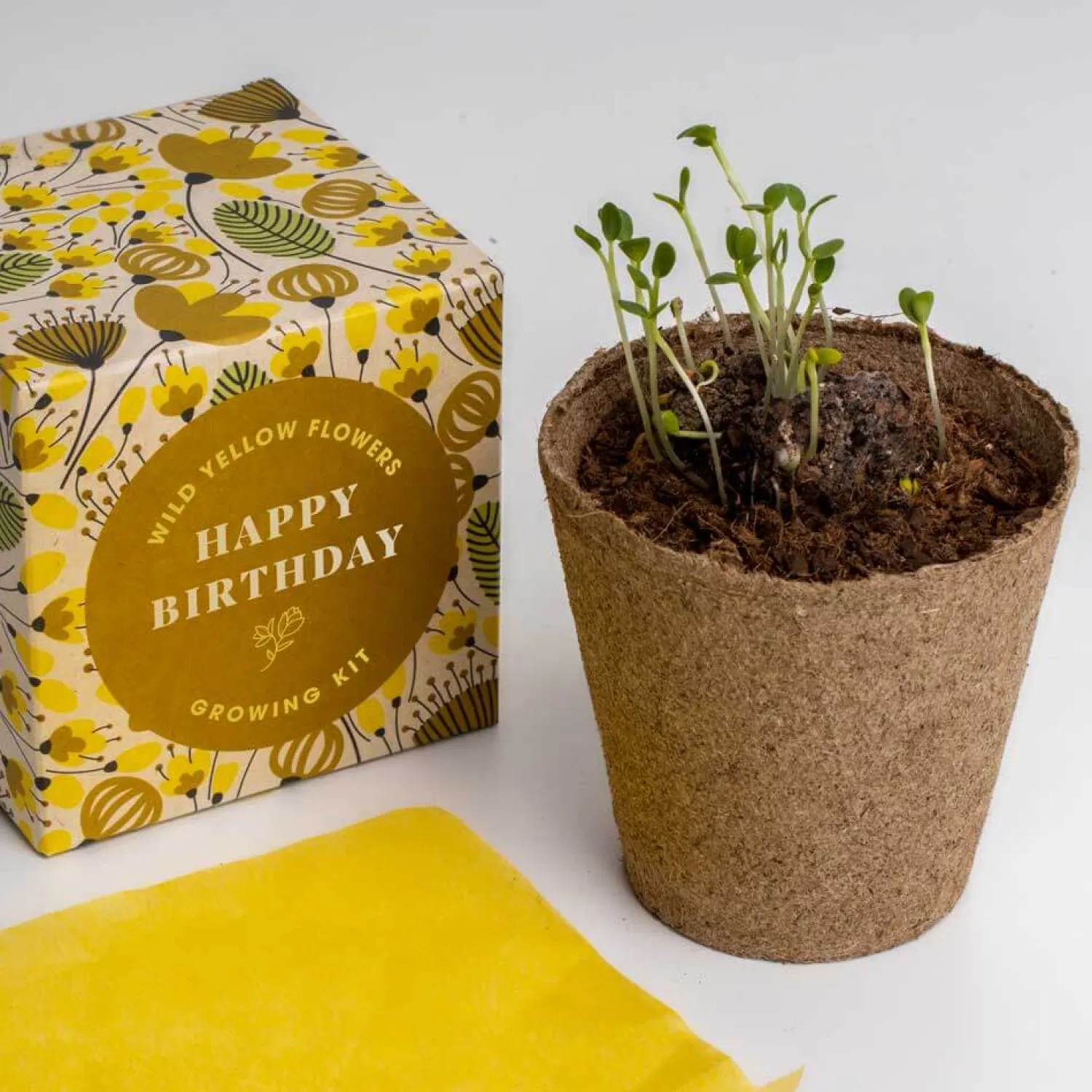Na Podwórko | Resetea Zestaw prezentowy do sadzenia kwiatów Say it with Flowers - Happy Birthday