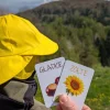 Idealne W Podróży|6 Lat+ | Nanuki Znajdź to! Gra terenowa
