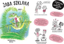 5-8 Lat|2-5 Lat | HarperCollins Zwierzaki cwaniaki. Akademia Mądrego Dziecka. Chcę wiedzieć