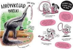 5-8 Lat|2-5 Lat | HarperCollins Zwierzaki cwaniaki. Akademia Mądrego Dziecka. Chcę wiedzieć