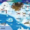 Anglojęzyczne|5-8 Lat | Wydawnictwo Nasza Księgarnia Zwierzęta. Moja pierwsza encyklopedia polsko-angielska z okienkami